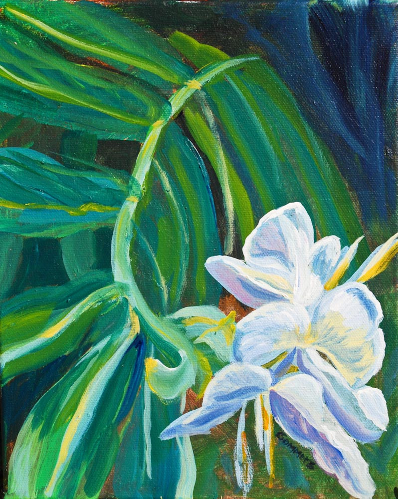 08 Fragrant Ginger, Acrylic on canvas, 9 x 12" (sold)