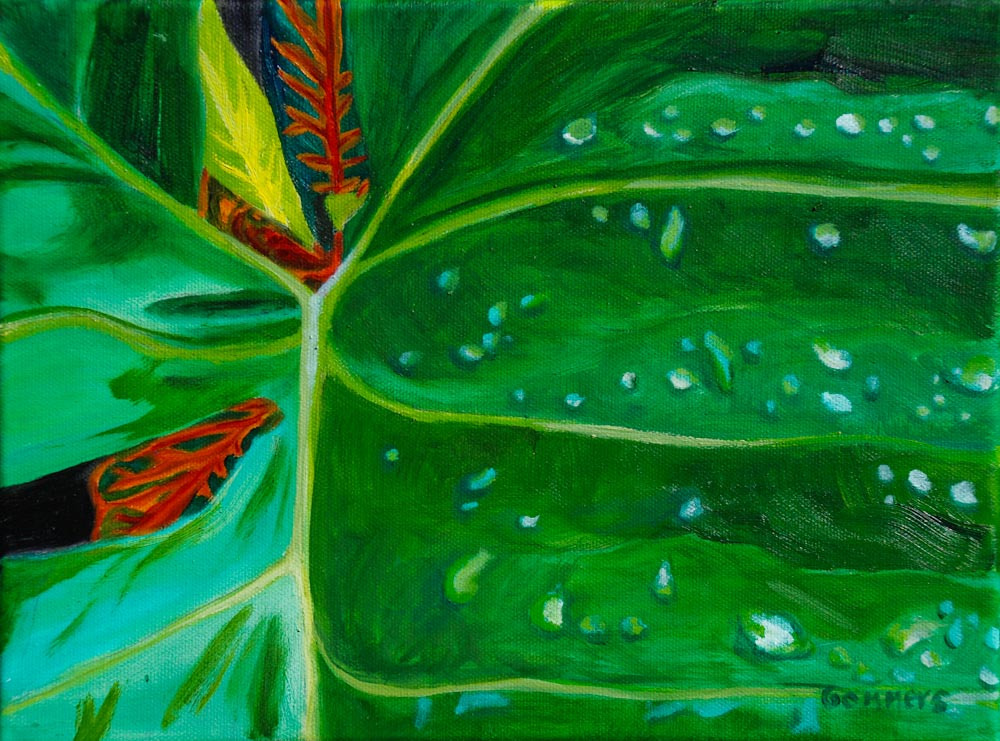 17 Leaf Window, Oil on canvas, 9 x 12" $900