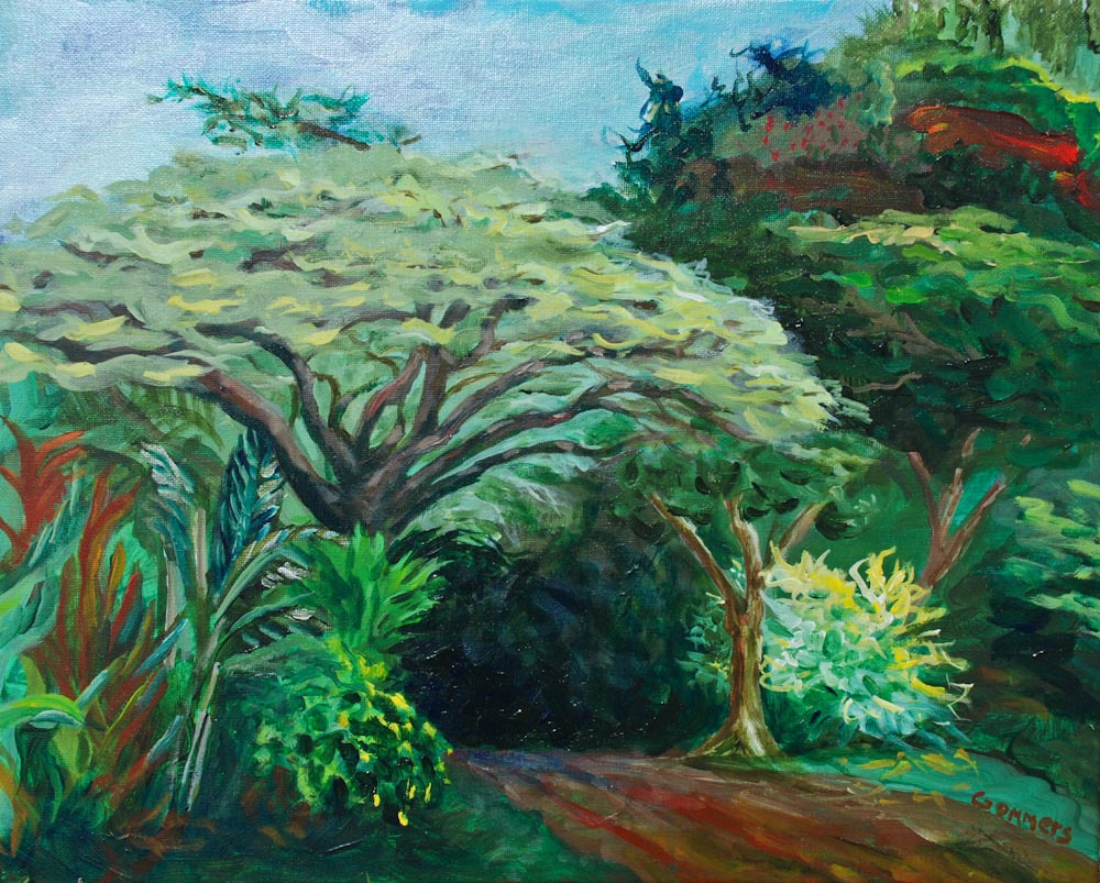 06 Waimea Valley I, Acrylic on canvas, 16 x 20"  $1600.