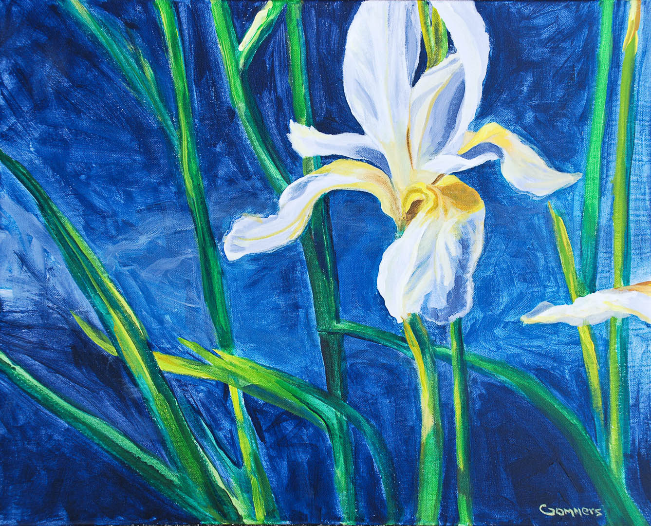 03 Wild Bay Iris, Acrylic on canvas, 16 x 20" $1400